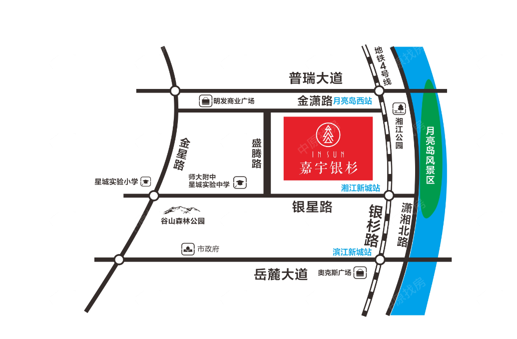 嘉宇銀杉最新動(dòng)態(tài)揭秘，最新進(jìn)展與資訊匯總