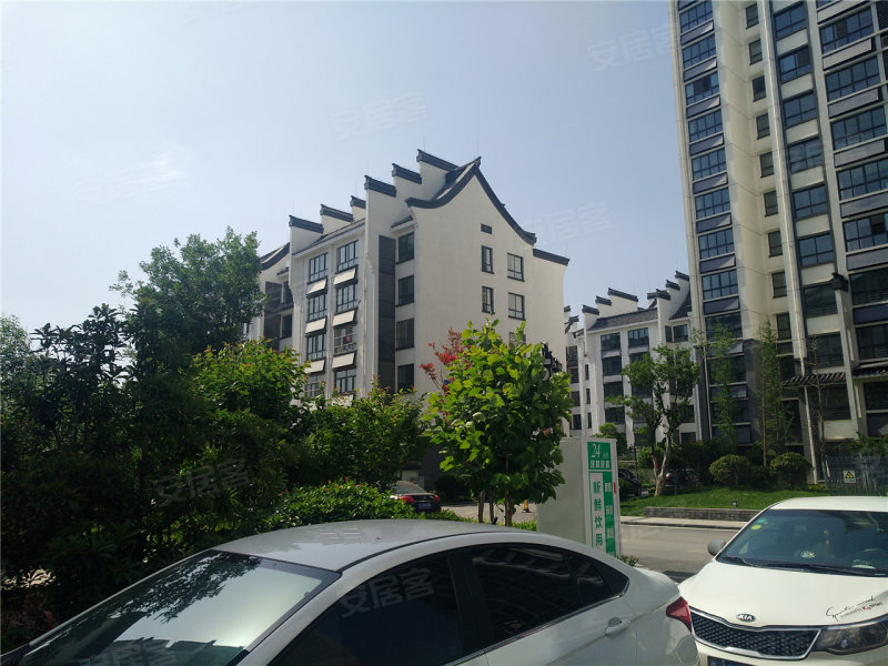 肥城龍山一品最新房?jī)r(jià)，時(shí)代印記與市場(chǎng)脈動(dòng)的交織