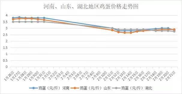 今日全國(guó)雞蛋價(jià)格行情走勢(shì)分析與論述