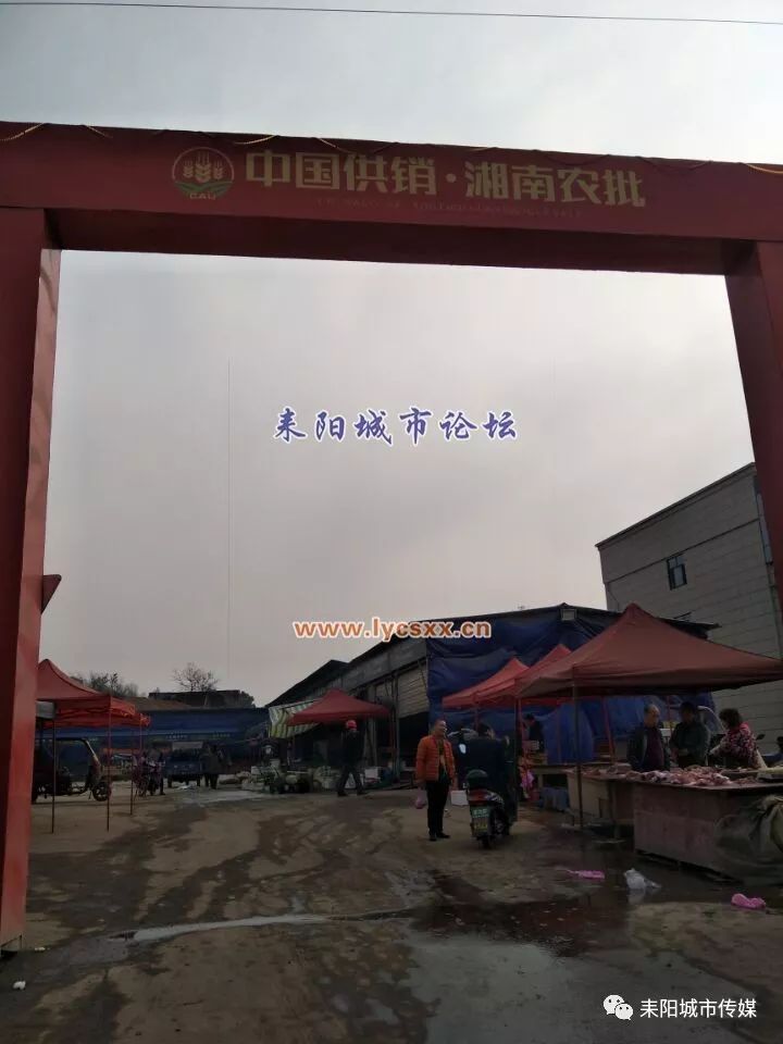 湘南大市場最新動態(tài)，一場溫馨的市場奇遇探索