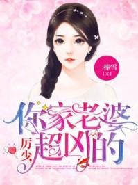 寶貝老婆章節(jié)更新深度探討，價值與吸引力的揭秘