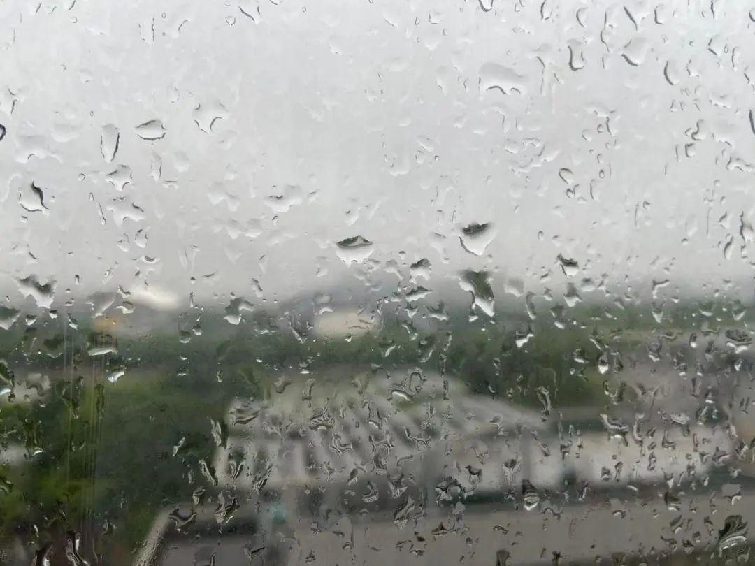 二都楊梅什么時(shí)候上市,二都楊梅上市記，一場酸甜交織的友情之旅
