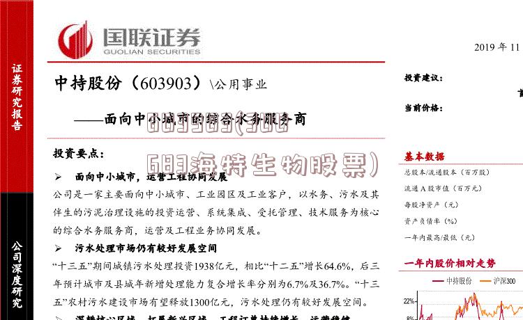 603903股票投資全攻略，從初學(xué)者到進(jìn)階用戶的實(shí)戰(zhàn)指南