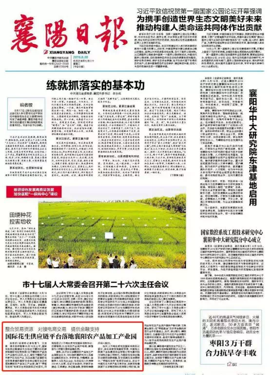 襄陽楚天快報最新資訊，多維度觀點(diǎn)下的城市發(fā)展動態(tài)