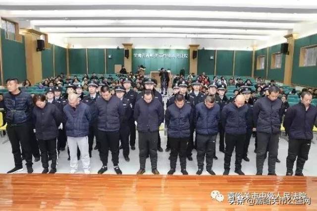嘉峪關(guān)魏萬林最新動態(tài)更新，最新消息揭秘