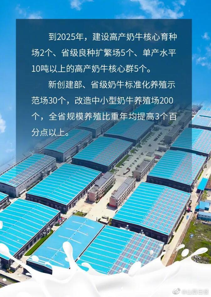 最新牛場建設(shè)與管理，一步步指南助你成功打造現(xiàn)代化牛場