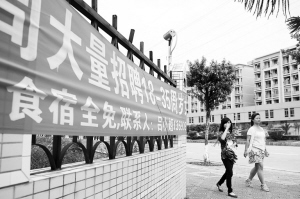 河源東源仙塘最新招聘，時代背景下的新機遇啟航