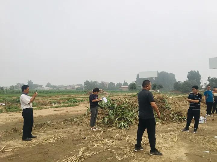 永年區(qū)最新工程項(xiàng)目，時(shí)代印記與未來展望之路